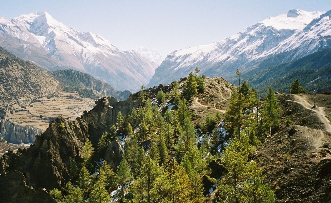 conservation area.jpg