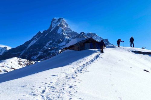 Best Time For Mardi Himal Trek - The Ultimate Travel Guide
