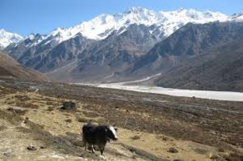 Langtang Trek- Where Adventure Meet Culture