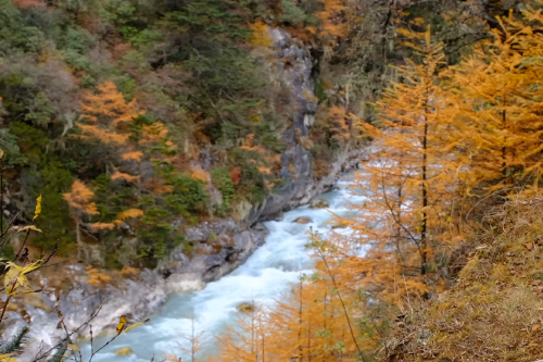 trek route kanchenjunga